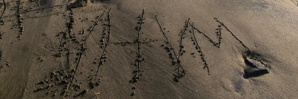 Lerand MT banner