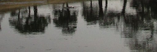 穂ノ佳. ̫ . banner