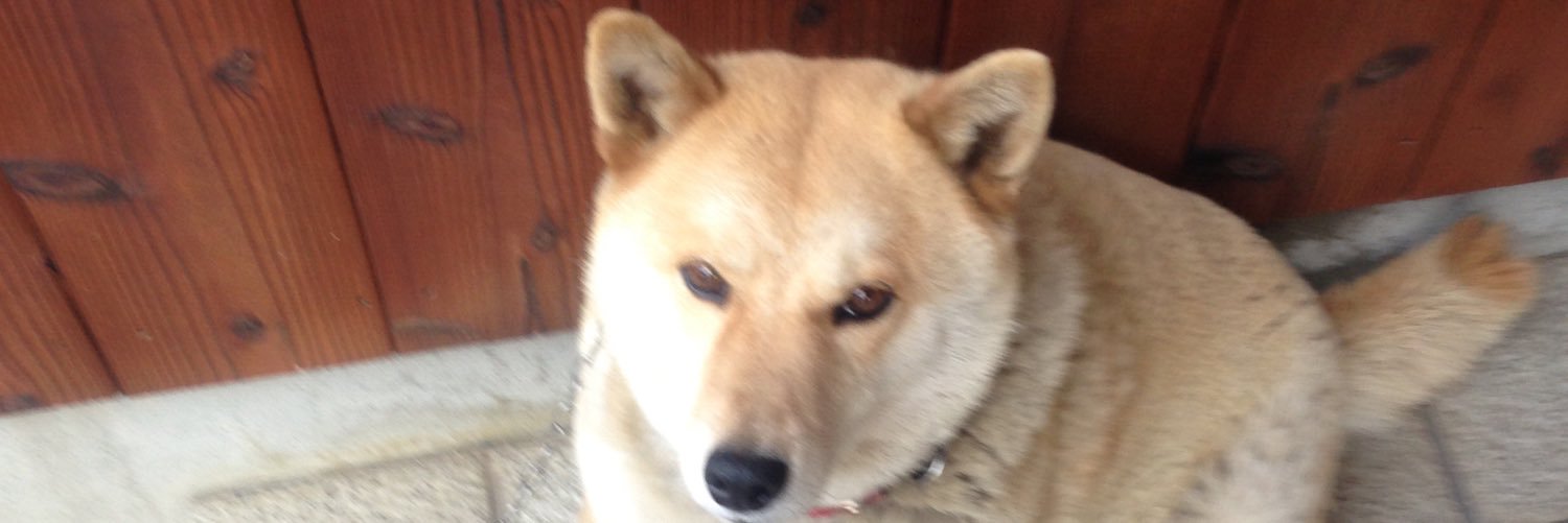 shochu2013's profile banner image