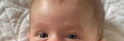 Alexandre Travassos banner