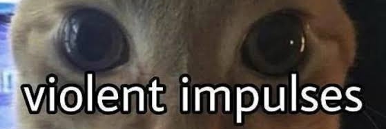 vnvictvs's profile banner image