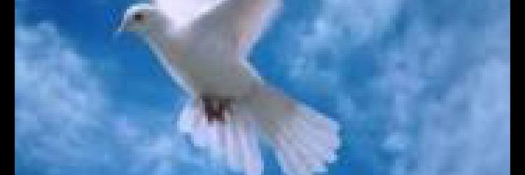 عبدالرحمن الاسمرى banner