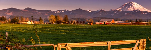 uwbirch Profile Banner