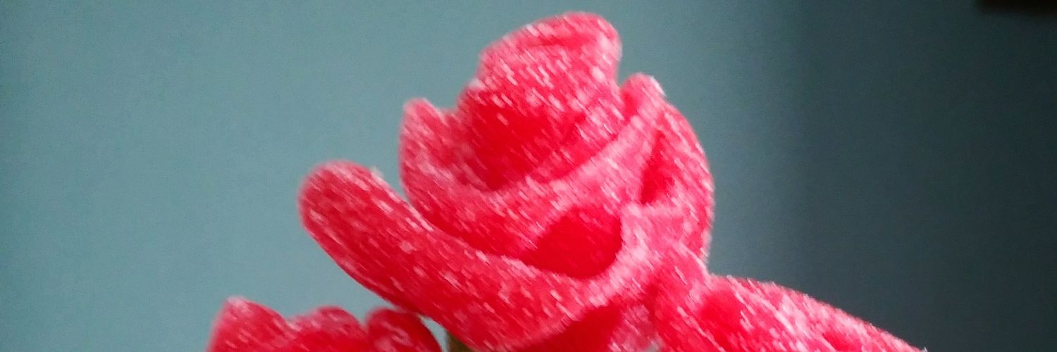 Isarfornieles's profile banner image