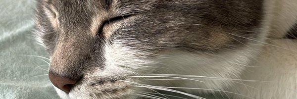 RTrishii Profile Banner