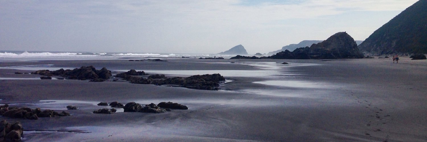 adele_corapi's profile banner image