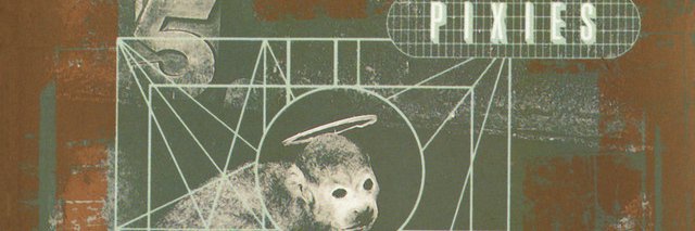 mounkey mokey monkey 🐒🐈 banner