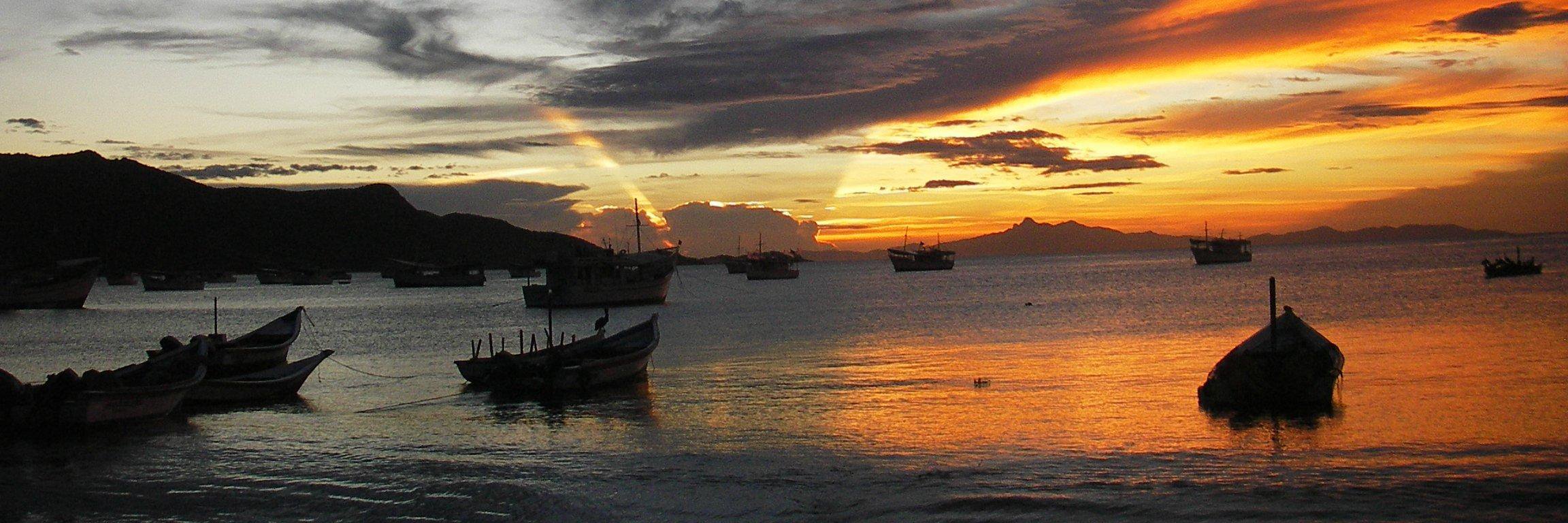 caripitense's profile banner image