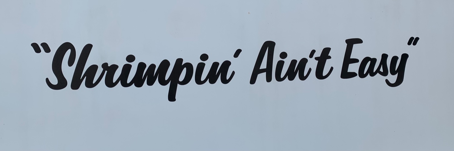 baudolino banner