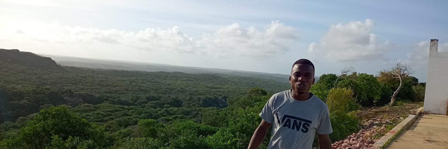 Chemane 🇲🇿's banner