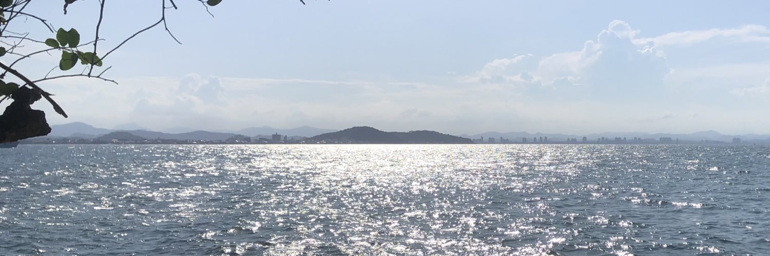 lecarolis's profile banner image