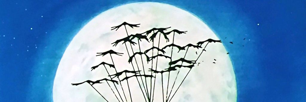 CesarEs46010208's profile banner image