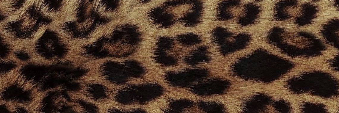 3vtte's profile banner image