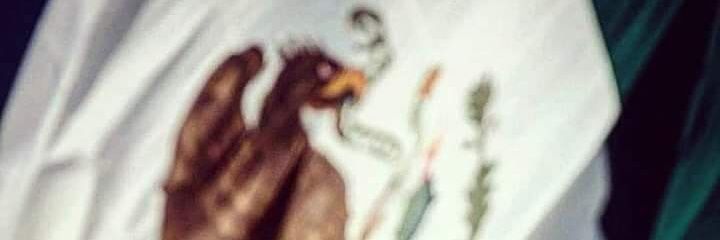 ponyrommel's profile banner image