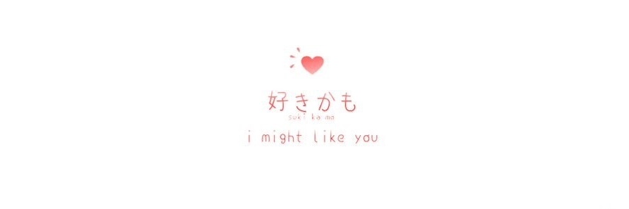 Lie banner
