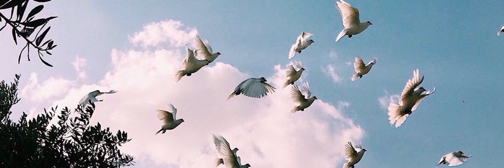 ahudh99's profile banner image
