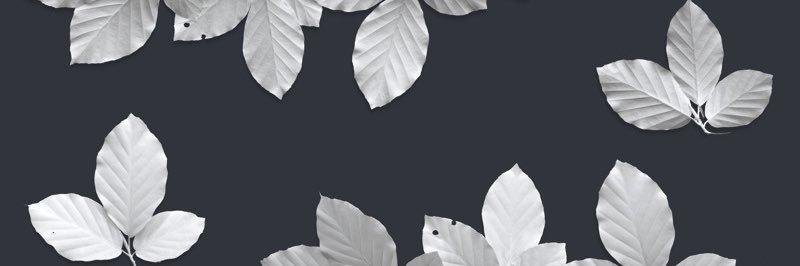 ClauPignataro's profile banner image