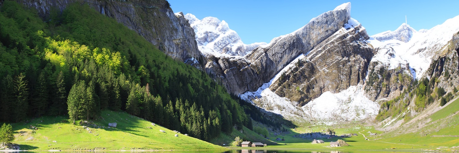 Freiheitliche Bewegung Schweiz (FBS) banner