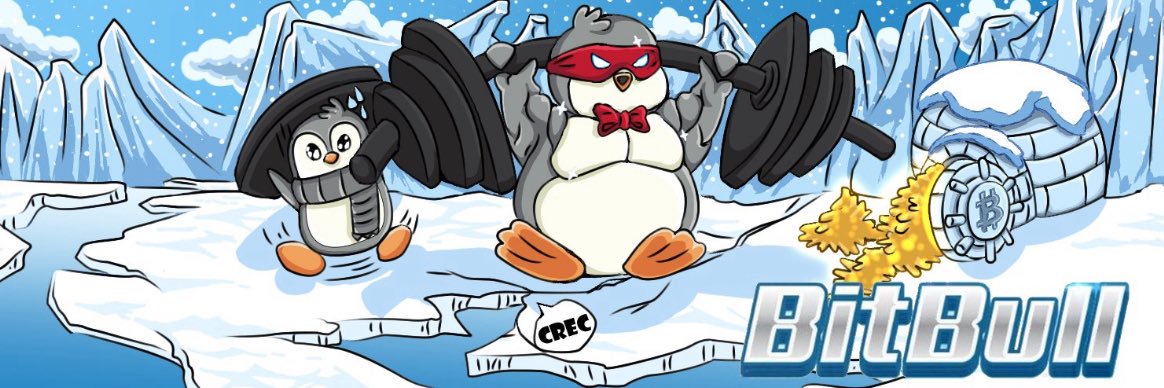 ₿it₿ull 𓃵 banner