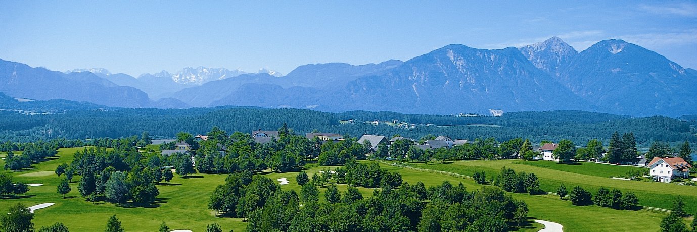 DI. Martin Sellner ⚒️ banner