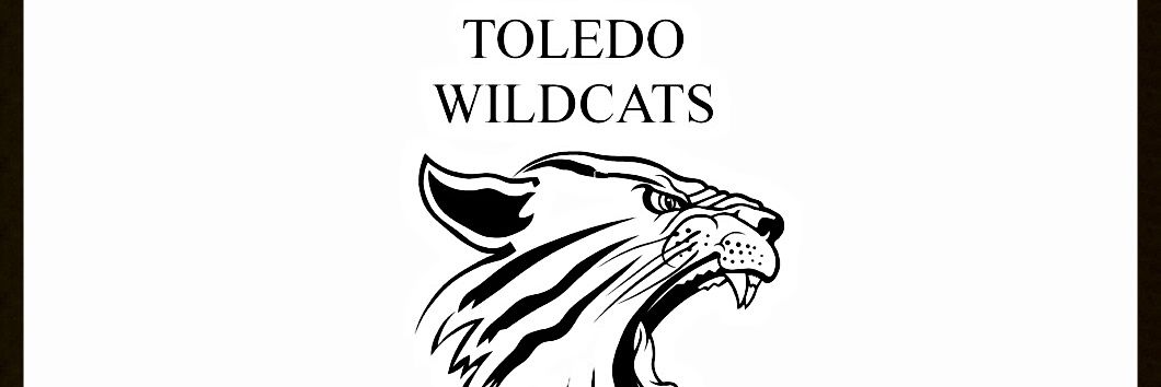 ToledoWildcats's profile banner image