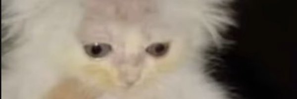 Smokeycs_ Profile Banner