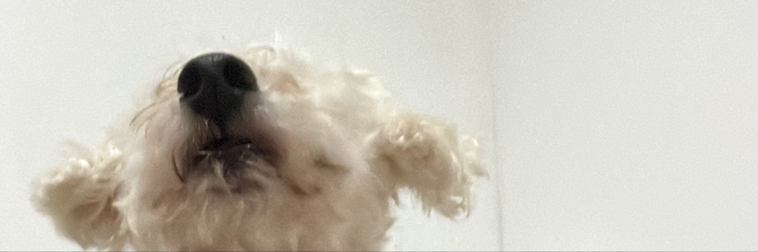 paul4____'s profile banner image