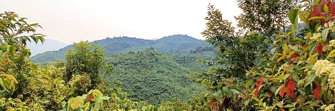 mmsangma's profile banner image