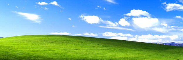 squeezingLemon's profile banner image