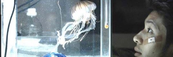 Ulises_Perez_M Profile Banner