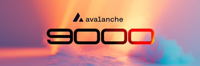 Quine🔺's banner