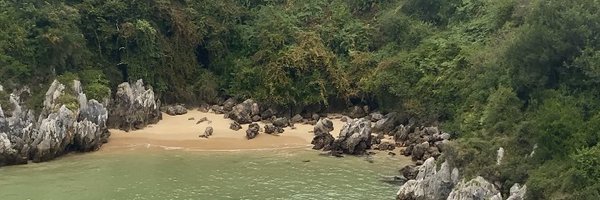 rosaarnizmateos Profile Banner