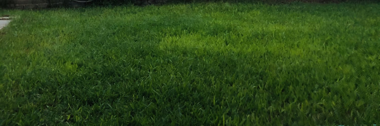ferithoo's profile banner image