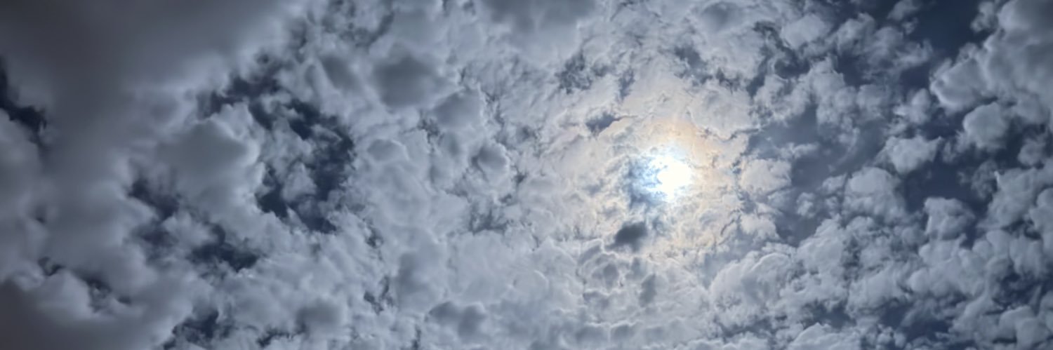  Payalink  banner