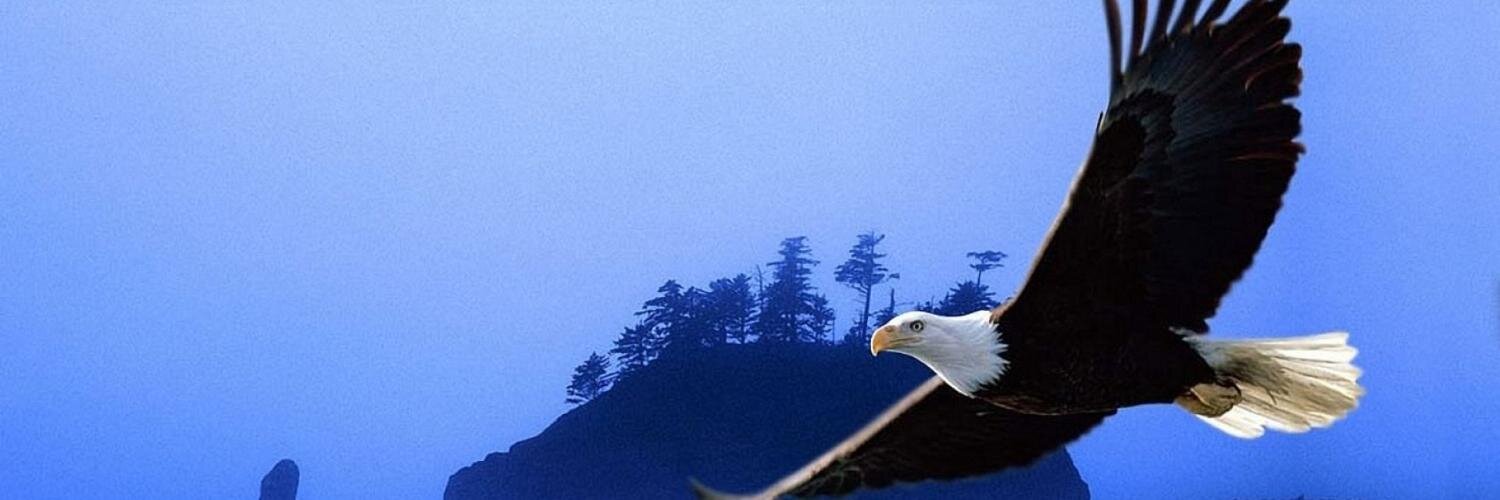 rafance's profile banner image