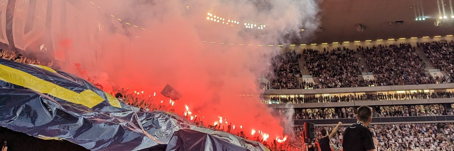 StelaDes's profile banner image