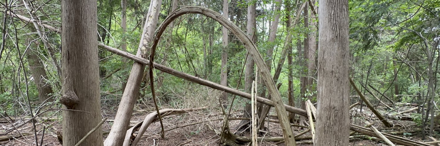 Derek Martin 🇨🇦 banner