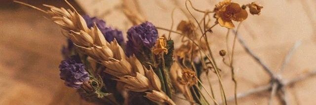 Sevgi_aLma's profile banner image