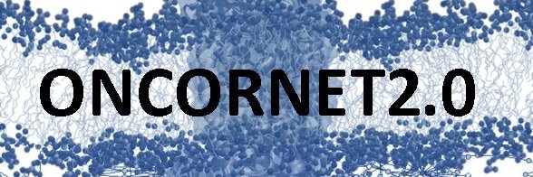 ONCORNET2.0 banner