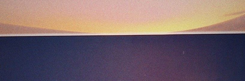 luv banner