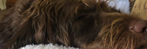 BrianKHood Profile Banner