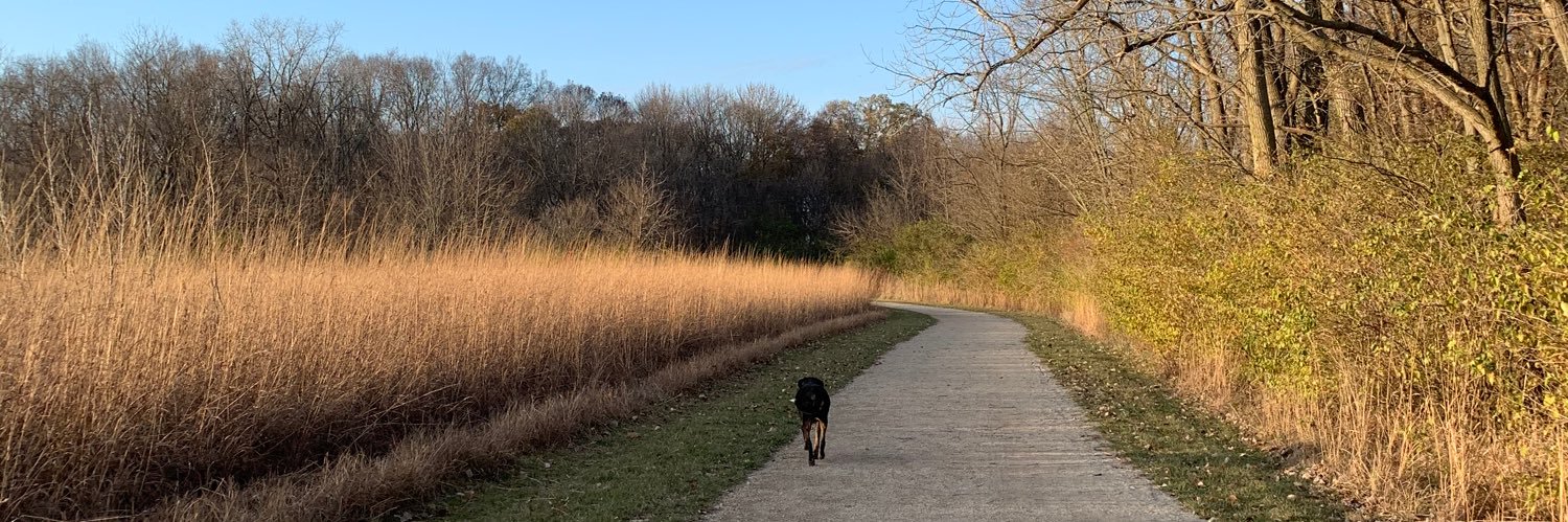 Katherine Hartmann, MD PhD banner