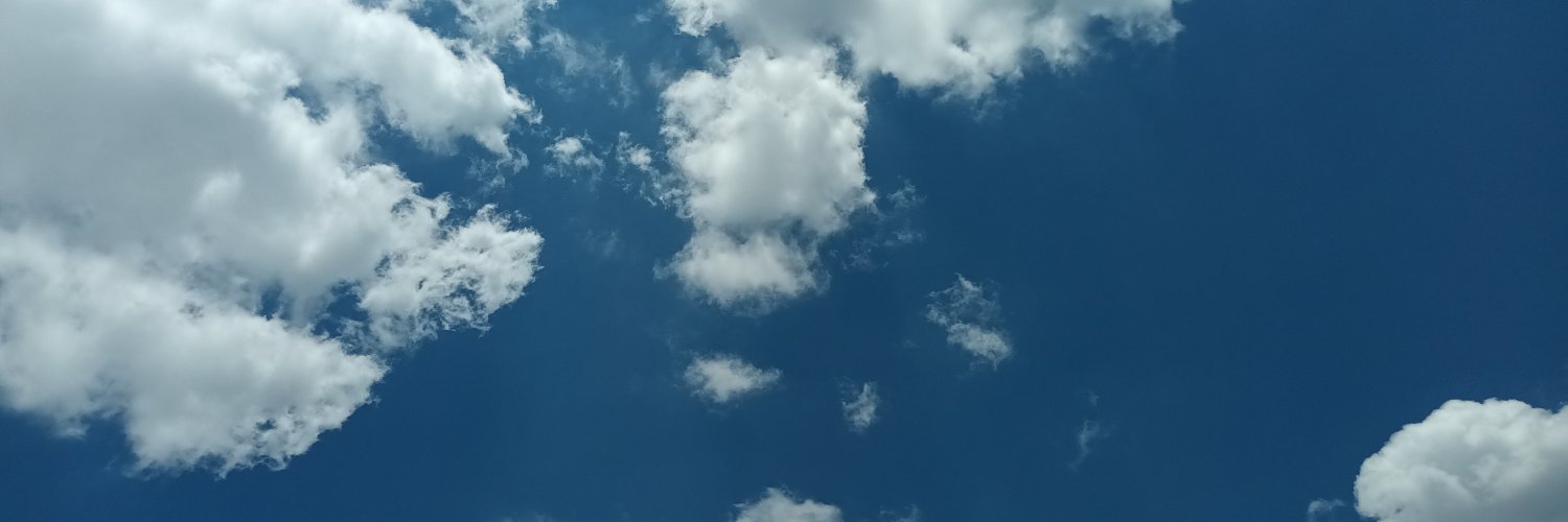 ZaraConZySinH's profile banner image