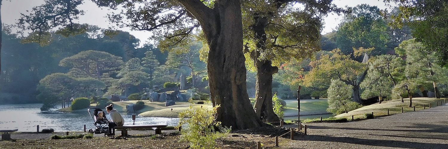 ishiinb's profile banner image