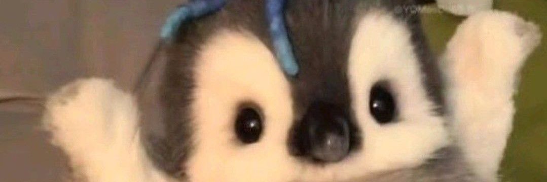 ppichzx's profile banner image