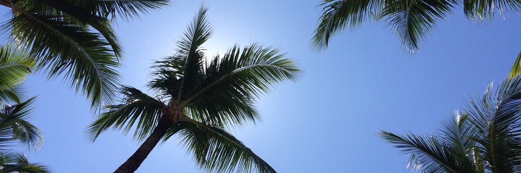 theheskimo's profile banner image
