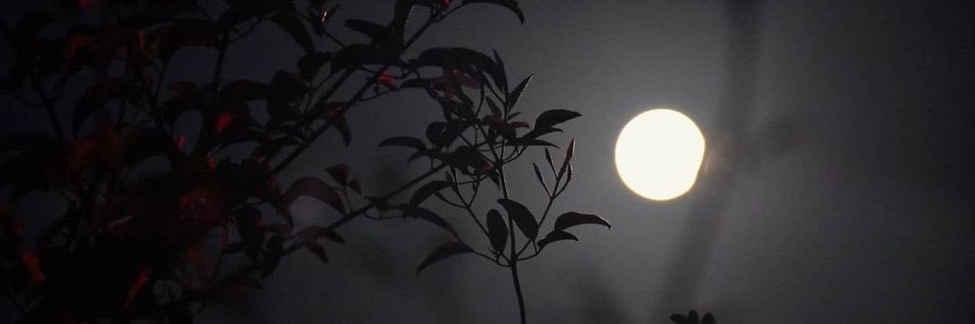 00hhrr's profile banner image
