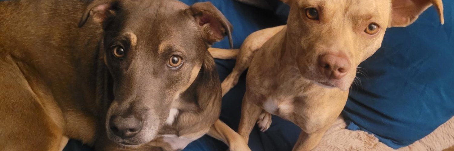 Jonathan Gonzalez banner