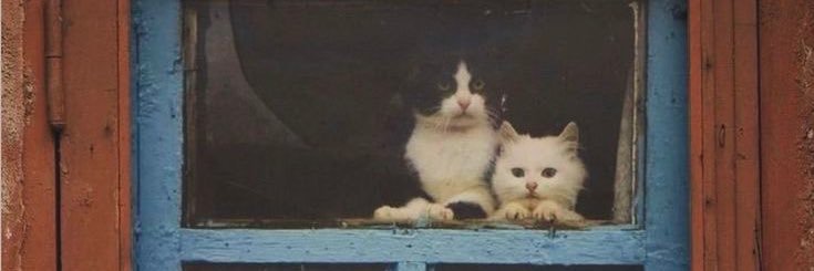 exhausted food guy banner