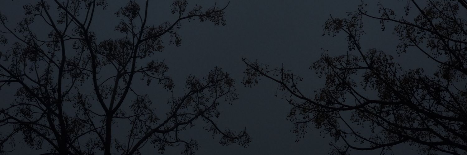 Geon only crying in the icarus club banner